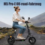 TWOFISH M5 Pro-e 12" Folding Electric Scooter 500W Motor 48V 13Ah Battery (EU)