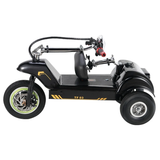 TWOFISH TF03 12" Folding Electric Scooter 350W Motor 48V 15Ah Battery