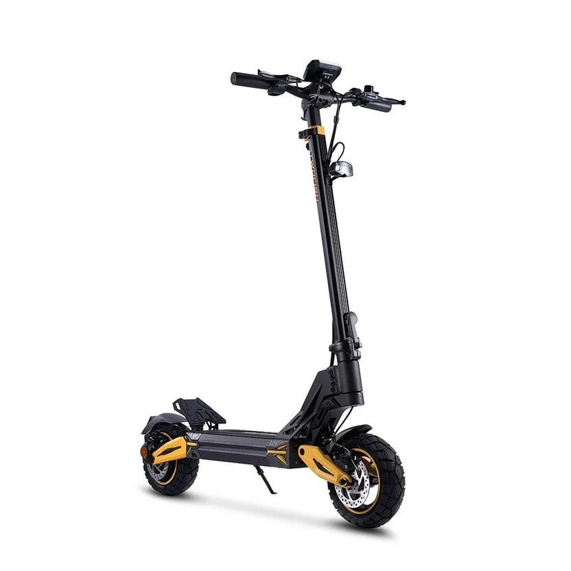 TWOFISH V2 MAX 10" Off-Road E-Scooter 800W Motor 48V 17Ah Battery