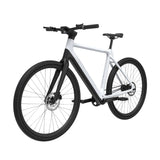 TEZEUS C8 38C" City E-Bike 250W Motor 36V 10Ah Battery