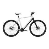 TEZEUS C8 38C" City E-Bike 250W Motor 36V 10Ah Battery