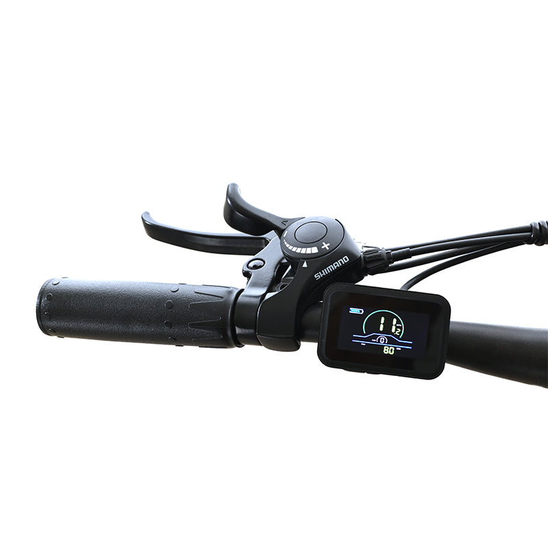 Mountain bike elettrica Totem Volcano con parafanghi Motore HUB posteriore 500W Batteria 48V 10,4Ah