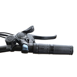 Mountain bike elettrica Totem Volcano con parafanghi Motore HUB posteriore 500W Batteria 48V 10,4Ah