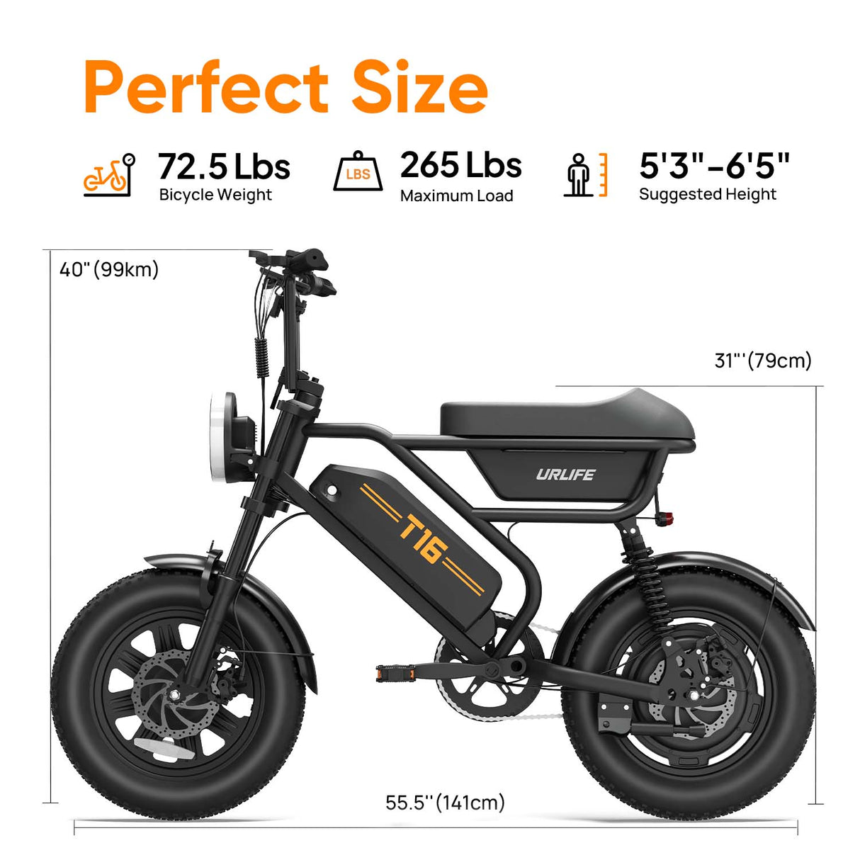 URLIFE T16 16" Off-Road E-Bike 250W Motor 48V 13Ah Battery