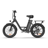 URLIFE E20 20" Step Through Electric Bike 250W Motor 48V 13Ah Battery (EU & UK)