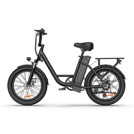 URLIFE E20 20" Step Through Electric Bike 250W Motor 48V 13Ah Battery (EU & UK)