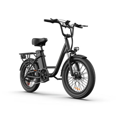 URLIFE E20 20" Step Through Electric Bike 500W Motor 48V 13Ah Battery (US)