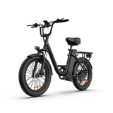 URLIFE E20 20" Step Through Electric Bike 500W Motor 48V 13Ah Battery (US)