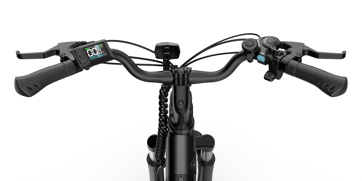 URLIFE E26 26" Step Through Electric Bike 250W Motor 36V 13Ah Battery (EU & UK)
