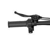 URLIFE F1L 14" Folding Electric Bike 250W Motor 48V 7.5Ah Battery (EU & UK)