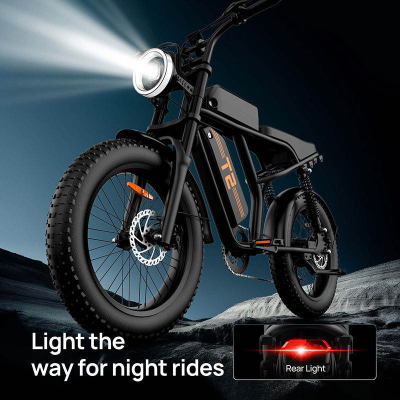 URLIFE T2 20" Electric Dirt Bike 745W Motor 48V 15.6Ah Battery (US Version)