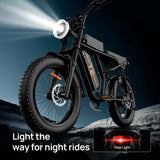 URLIFE T2 20" Electric Dirt Bike 745W Motor 48V 15.6Ah Battery (US Version)