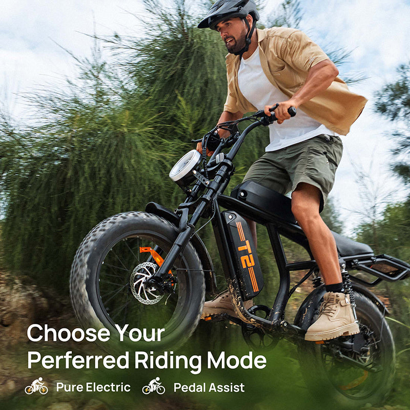 URLIFE T2 20" Electric Dirt Bike 745W Motor 48V 15.6Ah Battery (US Version)