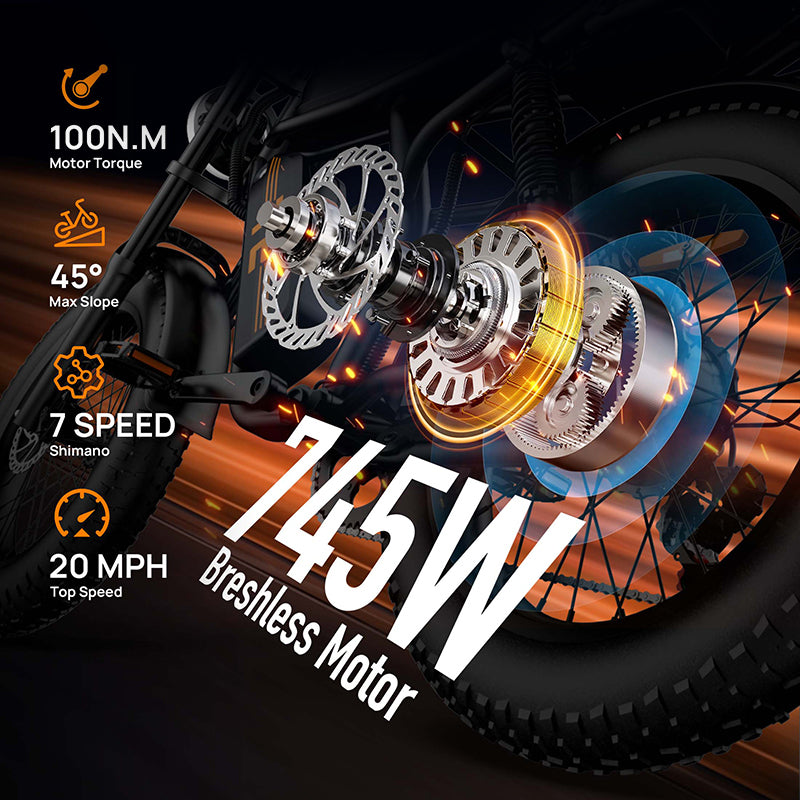URLIFE T2 20" Electric Dirt Bike 745W Motor 48V 15.6Ah Battery (US Version)