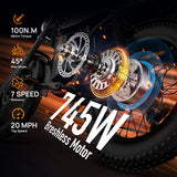 URLIFE T2 20" Electric Dirt Bike 745W Motor 48V 15.6Ah Battery (US Version)