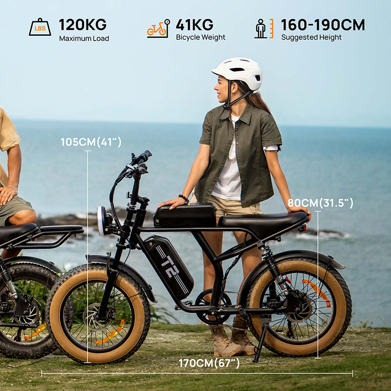 URLIFE T2 20" Electric Dirt Bike 250W Motor 48V 15.6Ah Battery (UK&EU Version)