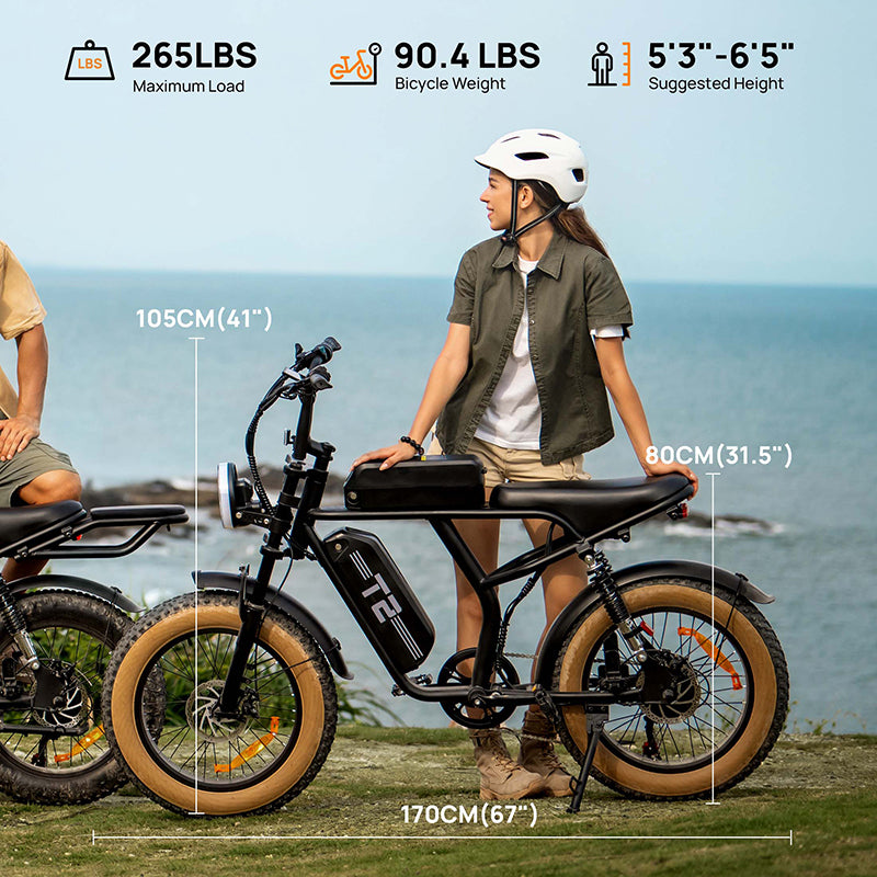 URLIFE T2 20" Electric Dirt Bike 745W Motor 48V 15.6Ah Battery (US Version)
