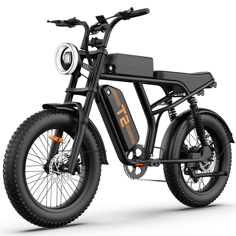 URLIFE T2 20" Electric Dirt Bike 745W Motor 48V 15.6Ah Battery (US Version)