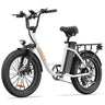 URLIFE E20 20" Step Through Electric Bike 250W Motor 48V 13Ah Battery (EU & UK)