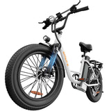 URLIFE E20 20" Step Through Electric Bike 250W Motor 48V 13Ah Battery (EU & UK)