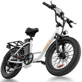 URLIFE E20 20" Step Through Electric Bike 250W Motor 48V 13Ah Battery (EU & UK)