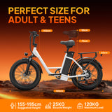URLIFE E20 20" Step Through Electric Bike 250W Motor 48V 13Ah Battery (EU & UK)