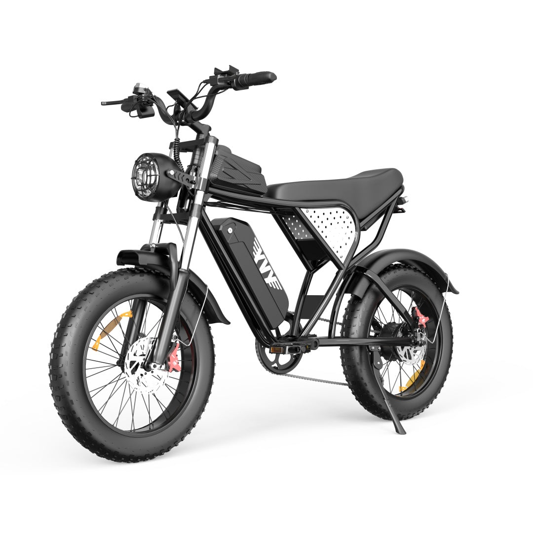 YVY C20(Q20) 20" Fat Tires Electric Bikes 1000W Motor 48V 20Ah Battery