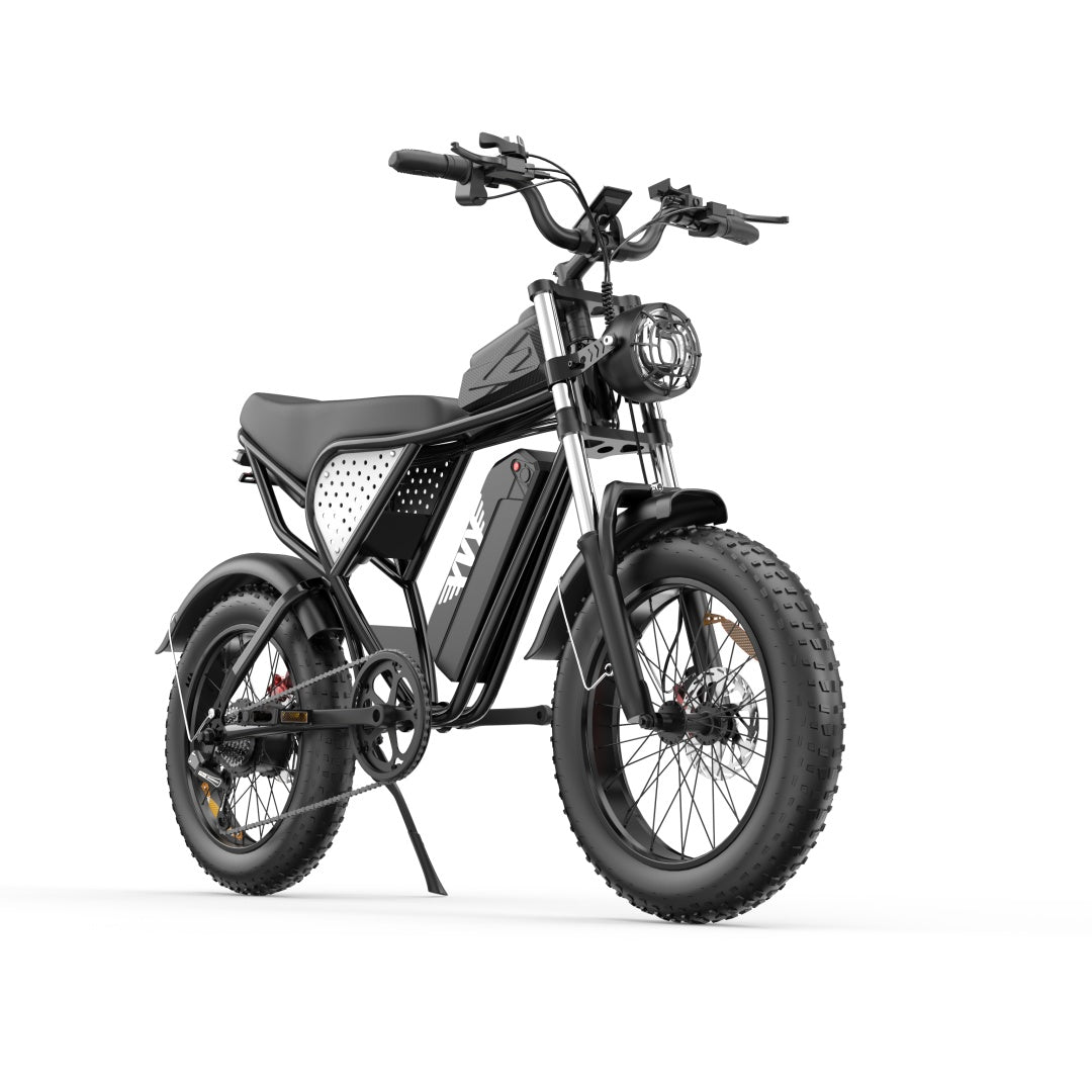 YVY C20(Q20) 20" Fat Tires Electric Bikes 1000W Motor 48V 20Ah Battery