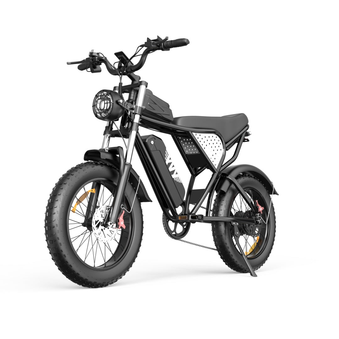 YVY C20(Q20) 20" Fat Tires Electric Bikes 1000W Motor 48V 20Ah Battery