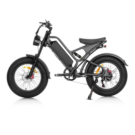 AILIFE X20B Electric Bike 1000W Motor 48V 15Ah Battery