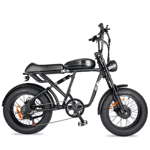 POLEEJIEK PLJ2008 Fat Tire Electric Bike 2000W Dual Motors 48V 20Ah Battery