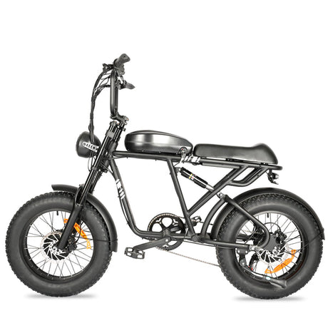 POLEEJIEK PLJ2008 Fat Tire Electric Bike 2000W Dual Motors 48V 20Ah Battery