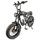 POLEEJIEK PLJ2008 Fat Tire Electric Bike 2000W Dual Motors 48V 20Ah Battery