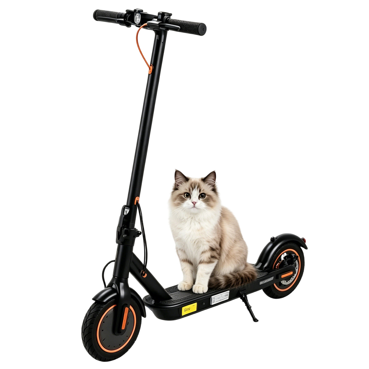TWOFISH V1 MAX 10" Folding Electric Scooter 400W Motor 36V 10.4Ah Battery