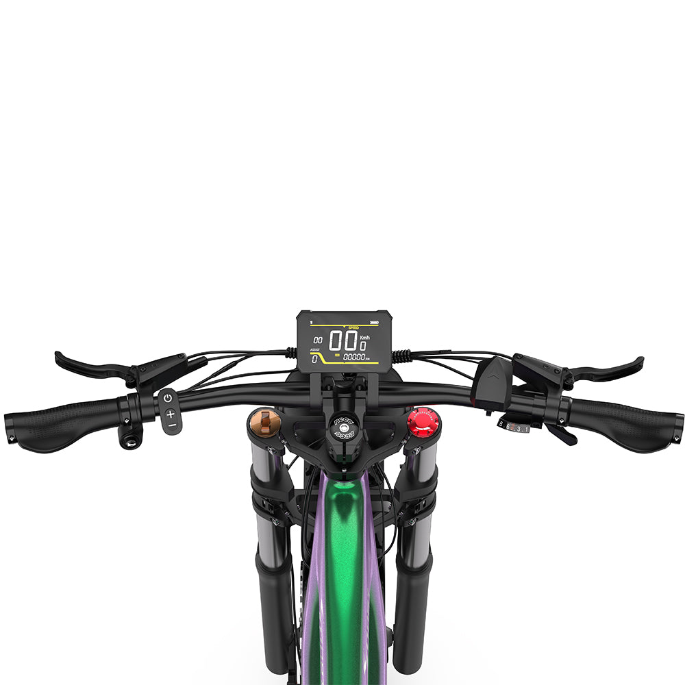 DUOTTS E26 26" Fat Tire Mountain Electric Bike 750W Motor 48V 20Ah Battery