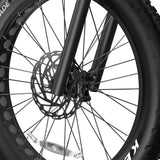 DUOTTS E26 26" Fat Tire Mountain Electric Bike 750W Motor 48V 20Ah Battery