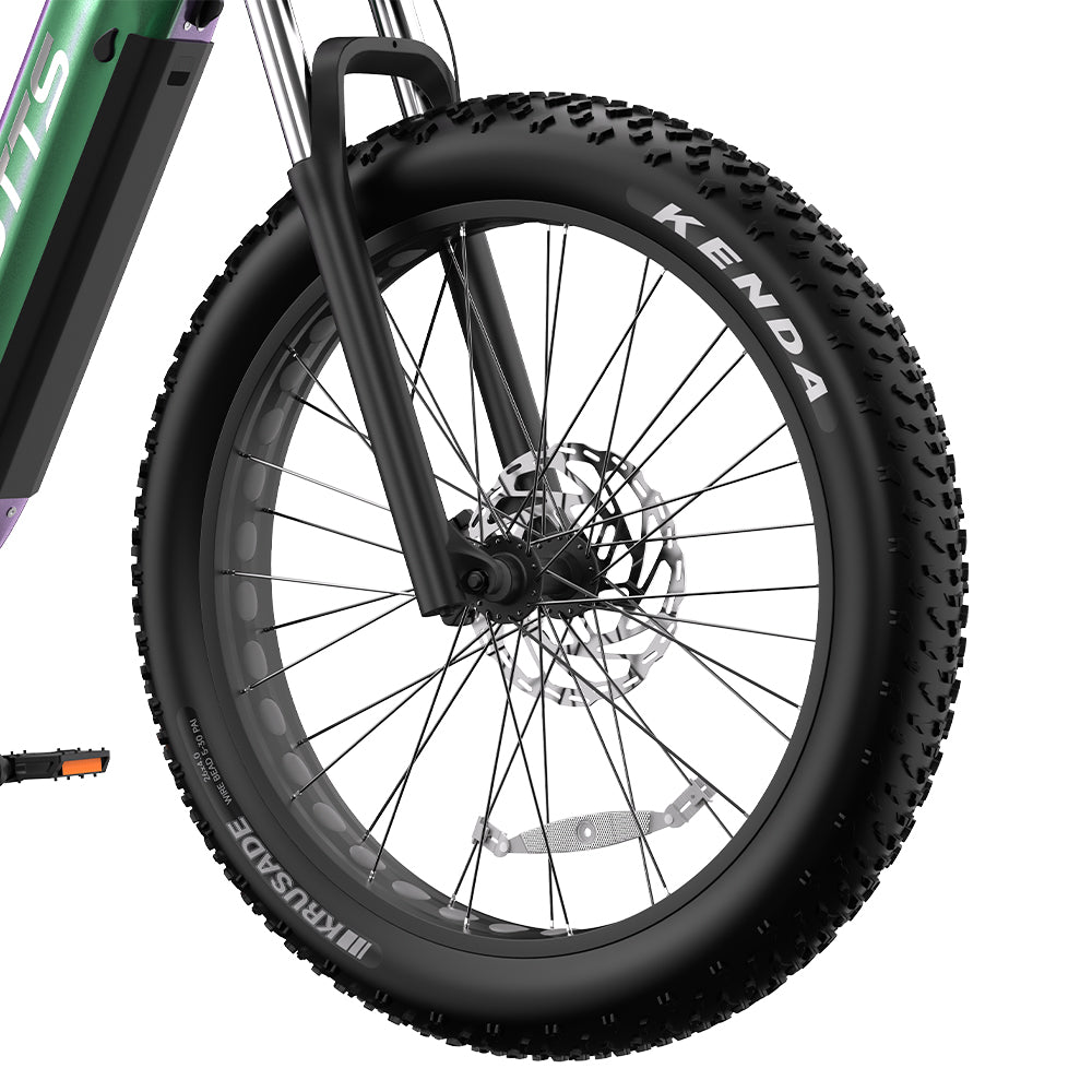 DUOTTS E26 26" Fat Tire Mountain Electric Bike 750W Motor 48V 20Ah Battery
