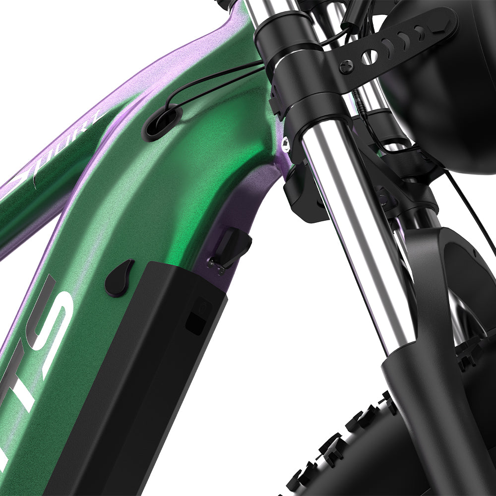 DUOTTS E26 26" Fat Tire Mountain Electric Bike 750W Motor 48V 20Ah Battery