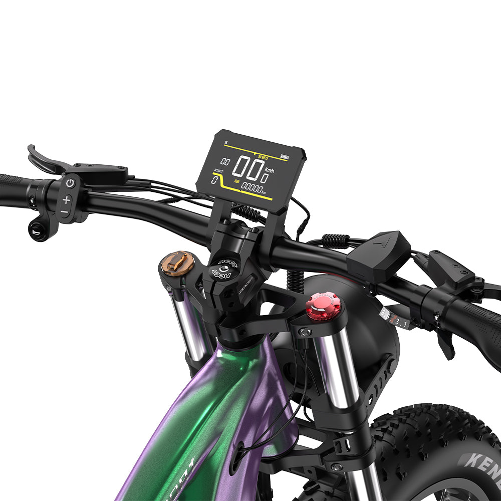 DUOTTS E26 26" Fat Tire Mountain Electric Bike 750W Motor 48V 20Ah Battery