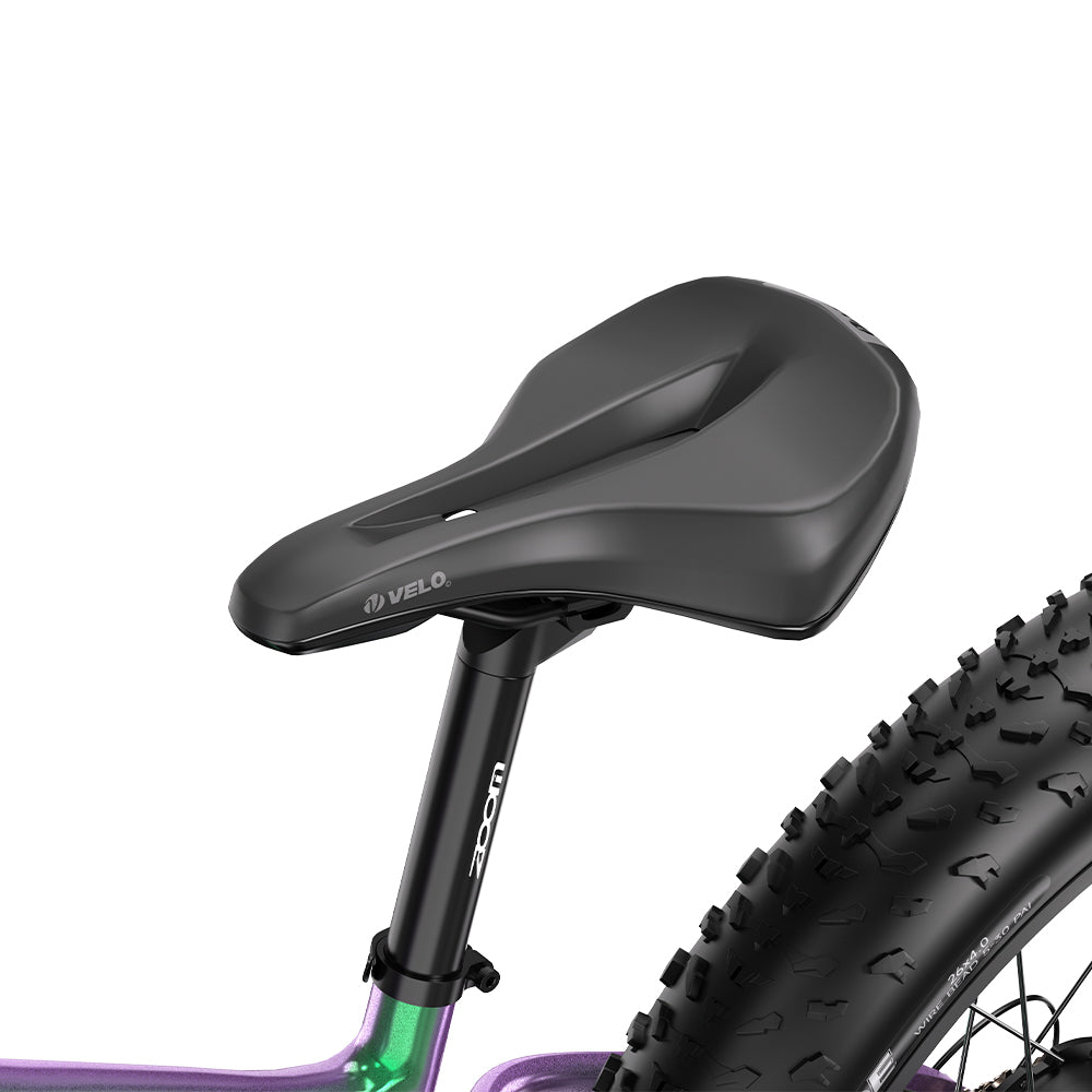 DUOTTS E26 26" Fat Tire Mountain Electric Bike 750W Motor 48V 20Ah Battery