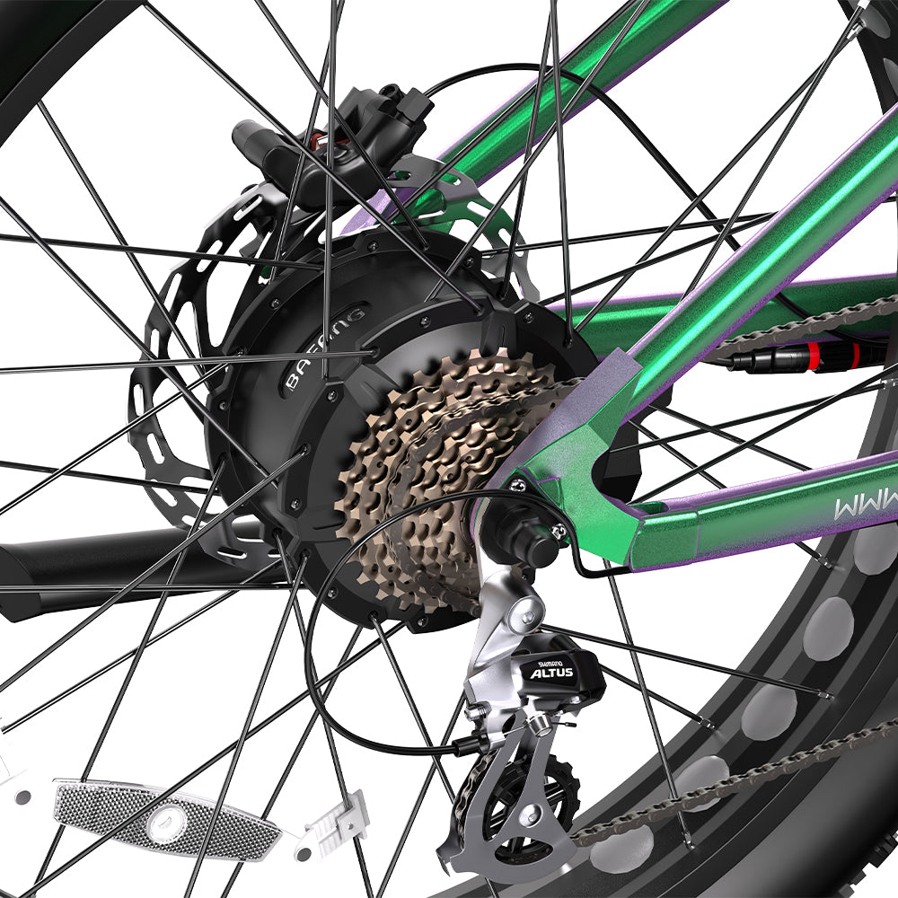 DUOTTS E26 26" Fat Tire Mountain Electric Bike 750W Motor 48V 20Ah Battery