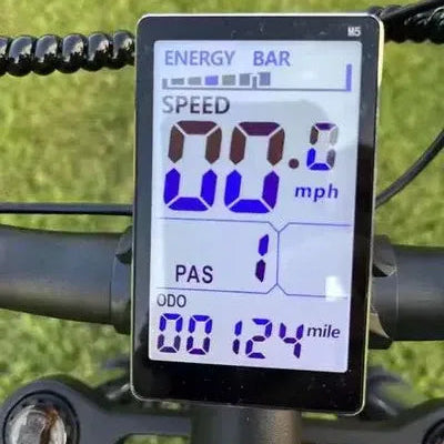RIDSTAR Q20 Pro E-Bike LCD Display