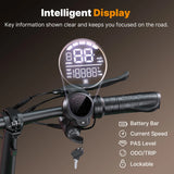 ISINWHEEL HyperX 14" Electric Scooter with Seat & Basket 700W Motor 48V 10Ah Battery