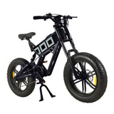 KUGOO T01 20'' Mountain Electric Bike 500W Motor 48V 13Ah Battery