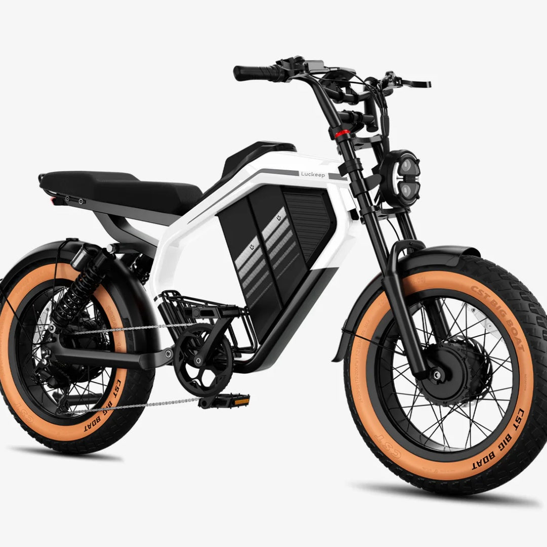 LUCKEEP M5 Ultra 20" Electric Dirt Motorbike 1000W*2 Dual Motors 52V 20Ah+20Ah Battery