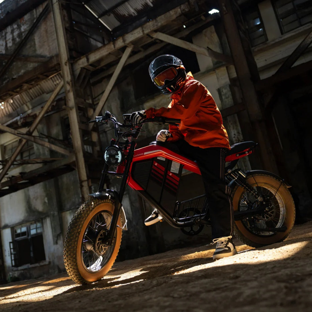 LUCKEEP M5 Ultra 20" Electric Dirt Motorbike 1000W*2 Dual Motors 52V 20Ah+20Ah Battery