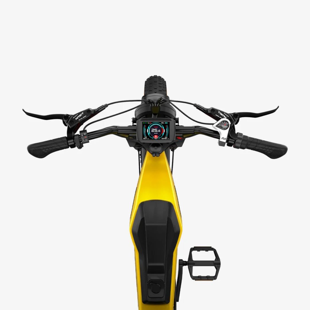 LUCKEEP M5 Ultra 20" Electric Dirt Motorbike 1000W*2 Dual Motors 52V 20Ah+20Ah Battery
