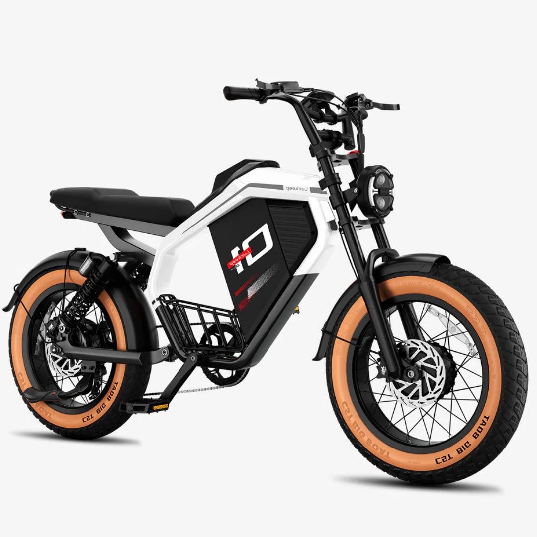 LUCKEEP M5 Ultra 20" Electric Dirt Motorbike 1000W*2 Dual Motors 52V 20Ah+20Ah Battery