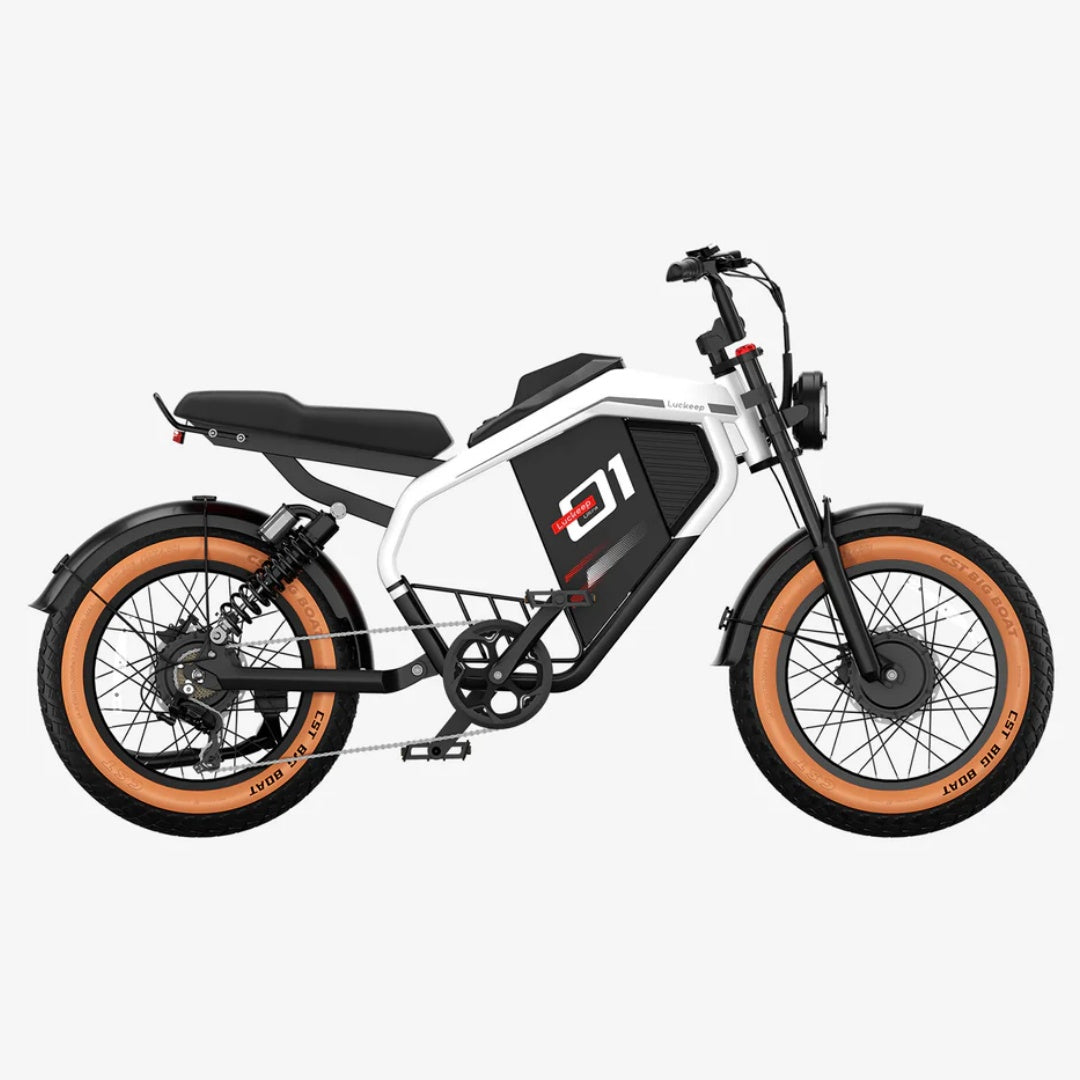LUCKEEP M5 Ultra 20" Electric Dirt Motorbike 1000W*2 Dual Motors 52V 20Ah+20Ah Battery