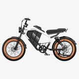 LUCKEEP M5 Ultra 20" Electric Dirt Motorbike 1000W*2 Dual Motors 52V 20Ah+20Ah Battery